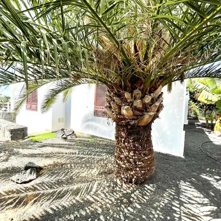Encantadora Villa Con Piscina Privada, Wifi, A/C, Bbq, Playa Blanca Villa *